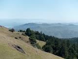 Mt Tamalpais 007